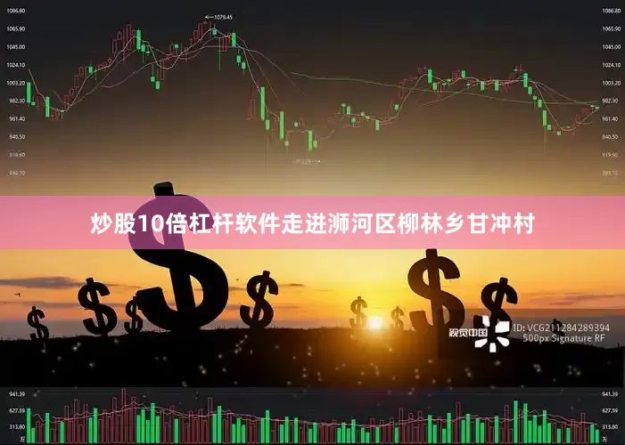 炒股10倍杠杆软件走进浉河区柳林乡甘冲村