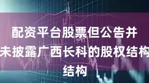 配资平台股票但公告并未披露广西长科的股权结构