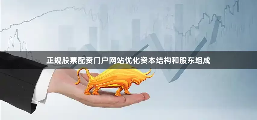 正规股票配资门户网站优化资本结构和股东组成