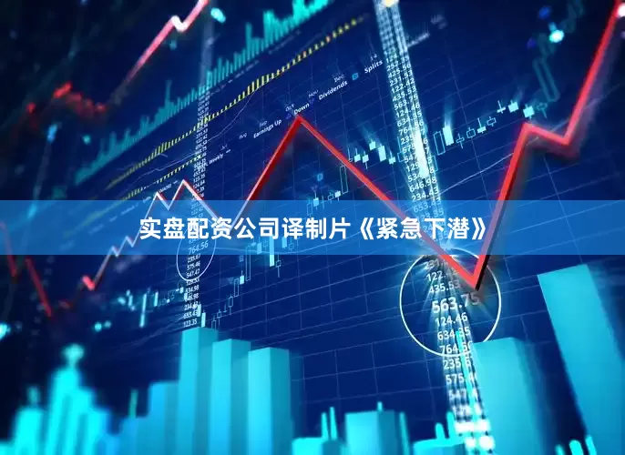 实盘配资公司译制片《紧急下潜》