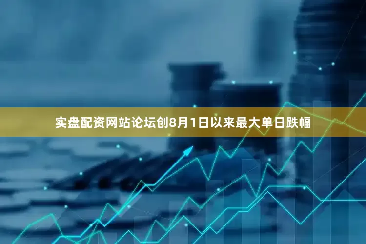 实盘配资网站论坛创8月1日以来最大单日跌幅